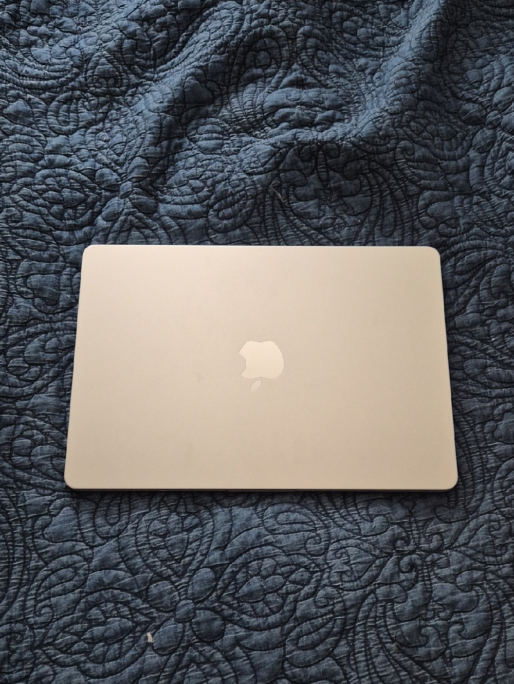 Apple MacBook - Silver Top with Apple Logo